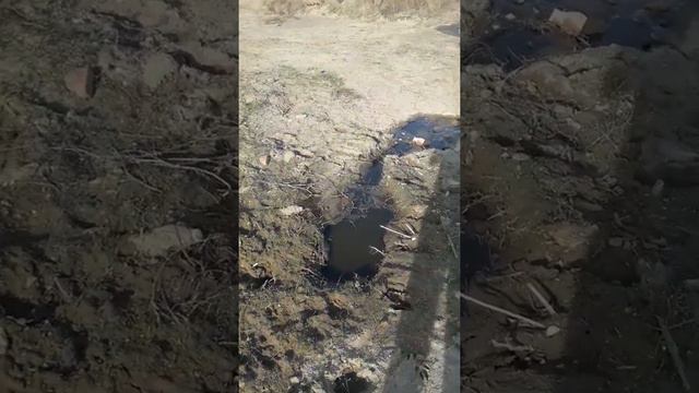 Посмотри видео и спаси жизнь дачнику. Костанай, Казазстан р-он телицы дачи энергетик