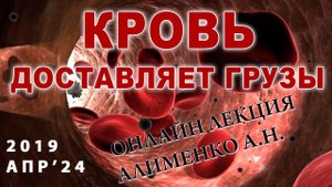 Кровь. Эритроциты будут «доставлять грузы». Алименко А.Н. (24.04.2019)