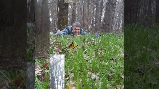 Природа в Старом Осколе (*Лапыгино*) смотреть онлайн