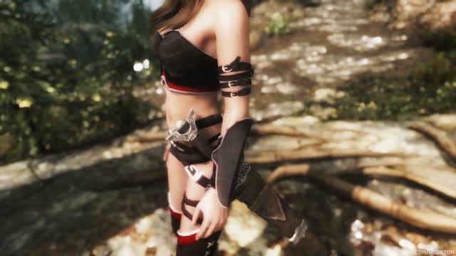 TES V - Skyrim: Brown Mountains and Rocks, Alyn Shir Armor, Stags Rest Player Home смотреть онлайн