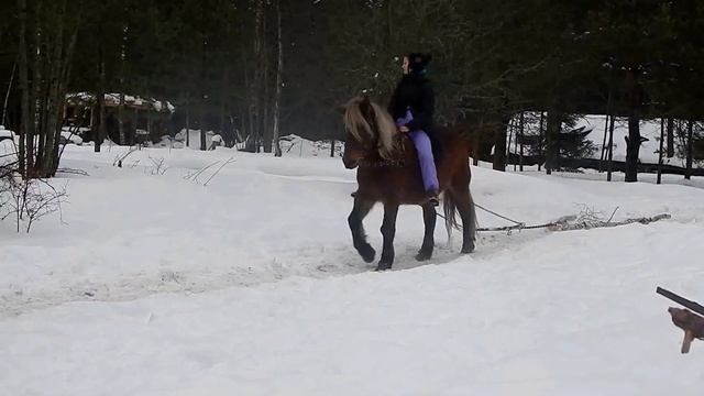 Трелёвка леса
