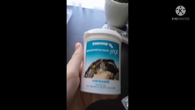 кормление черепах(плюс не много содержания) #кормление #красноухой #черепахи