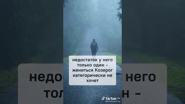 Лучший муж по знаку зодиака ?