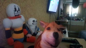 My Stop Motion