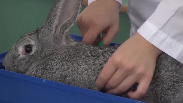 Факультет технологического менеджмента ч. 1 смотреть онлайн