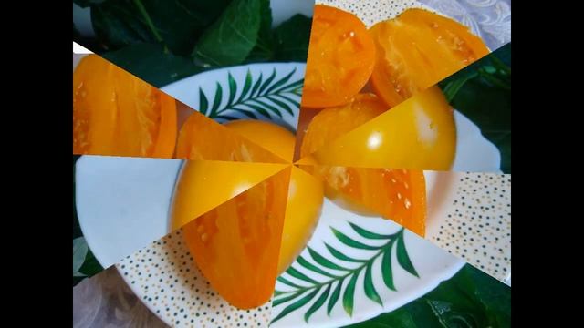 Солнечные томаты в моей коллекции. смотреть онлайн