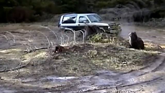 Suburban and Bronco II off road 2.m4v смотреть онлайн