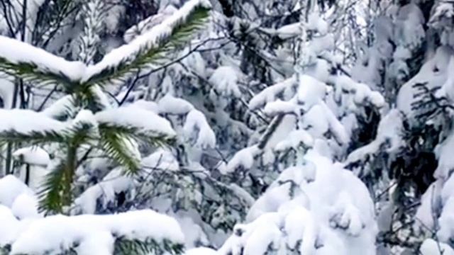 578.ЗАГОВОР НА СВОЮ ВЕЩЬ,КОТОРУЮ ОТДАЁТЕ