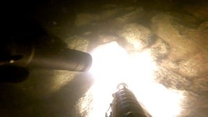 Запретное царство - креветки на подводной охоте