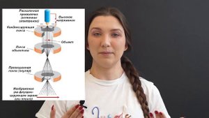 Урок 6 | Электронная микроскопия