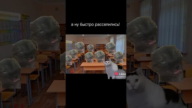 жиза