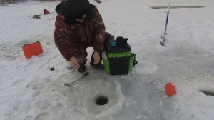 ловля Ельца на косынки