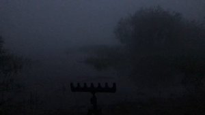 Фидер на ОКЕ в ИЮНЕ / Ночная рыбалка / Рыба клюёт / Вода падает