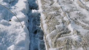 Ура!!!! Достаём рассаду!!! как хранить рассаду земляники зимой!!!