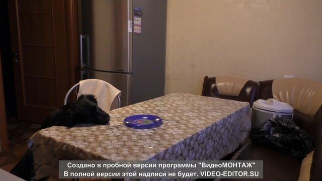 ОДНА ДОМА смотреть онлайн