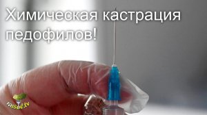 # 141 Вся СОЛЬ: Химическая кастрация педофилов