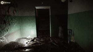 Escape from Tarkov:ВАЙП новый проблемы старые