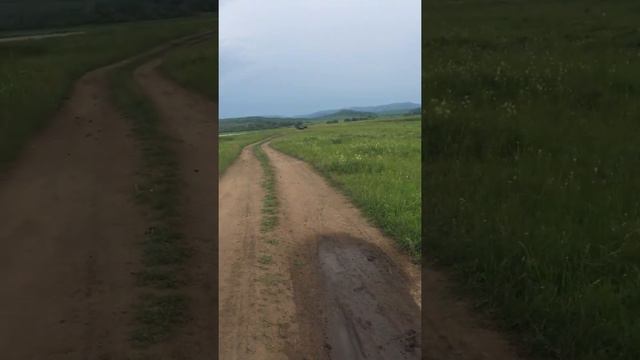 Бюджетный автозвук герц Шемонаиха смотреть онлайн