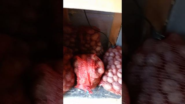 Сбои с электроснабжением и его плоды с 7 по 11 декабря 2023 года. Тюмень. СНТ Русское поле. смотреть онлайн