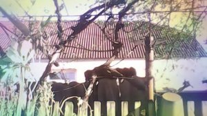 Играю на Баритоне(на духовом инструменте)