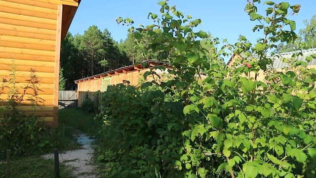 ДЛИТЕЛЬНОЕ ГОЛОДАНИЕ  (30 и 24 дня). КАК ОНО ПРОХОДИЛО