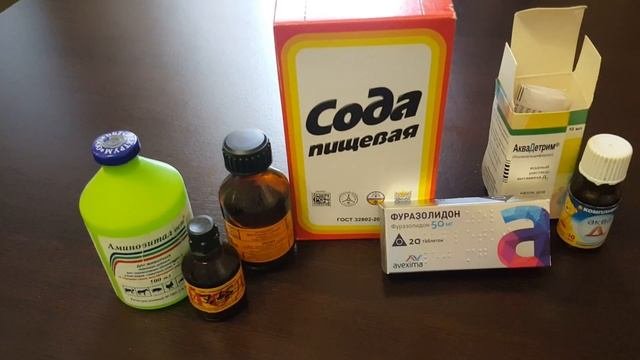 Профилактическая пропойка Бройлера без антибиотиков