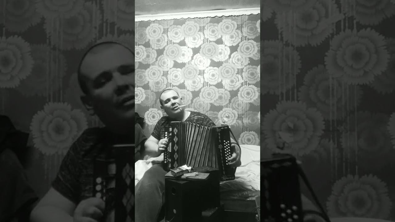 #план#сектор газа#гармонь))я не алкаш и не пьяница я