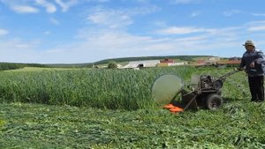 Мотоблок МБ-1 с роторной косилкой.
