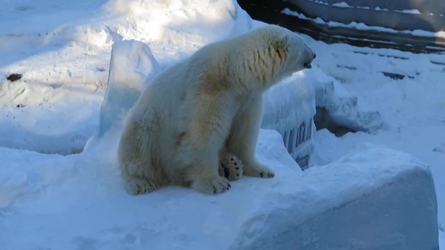 Мы с Гердочкой попрощались до новых встреч 02.02.2021 смотреть онлайн