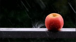 Quran + Rain 10 hours For Sleep/Study Sessions Sleeping Relaxation - Beautiful QURAN Recitation