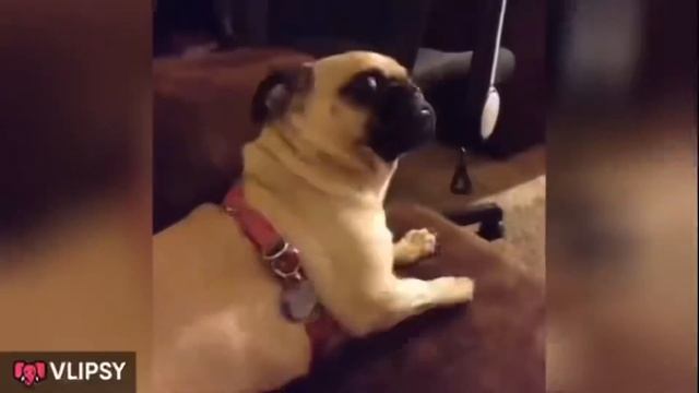 Трюк на гидроцикле: подводник 180 или нырок с поворота смотреть онлайн