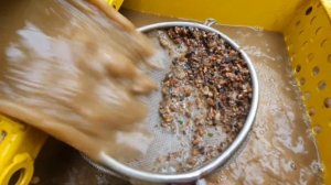 Абиссинская скважина своими руками... смотрим