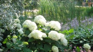 A walk at Assiniboine Park