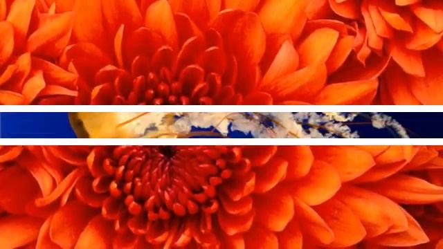 Renault Twingo 1.2 COMFORT Test смотреть онлайн