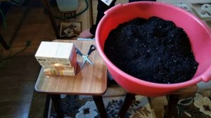 Запуск аквариума на питательной подложки.