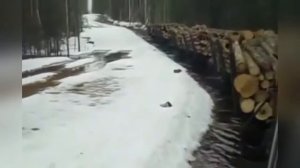 Экстремальная железная дорога, кривые рельсы