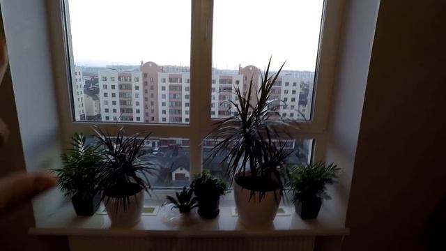 БУДНИ МОЛОДОЙ МАМЫ/УБОРКА/ГОТОВЛЮ ВИНЕГРЕТ