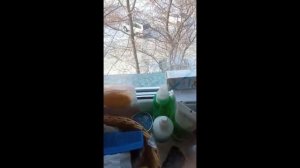 Город Павлодар санатория Мойылды не согласуется правилами соц портала