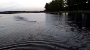 Feilun ft 011 скорость