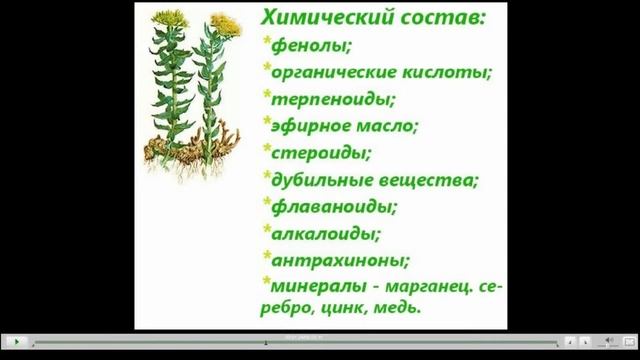 Радиола розовая(золотой корень) смотреть онлайн