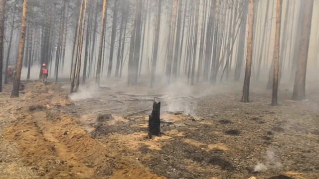Пожары Сибири смотреть онлайн