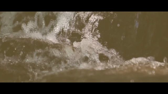 ГУЦУЛКА КСЕНЯ (надзвичайно ніжне та чуттєве виконання) [VIDEO 2020] Прем'єра кліпу, ДІАНА КУЛЬКА