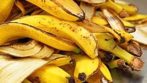Как правильно приготовить удобрение из банановой кожуры