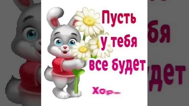 Видео открытка