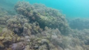 Крым (ч.6). База отдыха Кипарис в Мисхоре (Ялта).