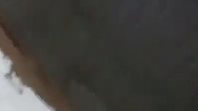 Тысячи крыс выбежали из норы смотреть онлайн