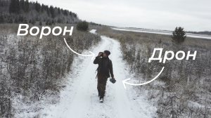 Заснеженный лес и черный ворон на плече