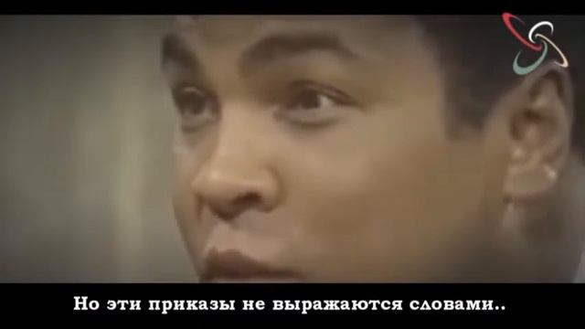 Легенда мирового бокса смотреть онлайн