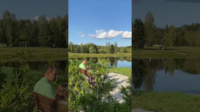 Загородная резиденция Бор - Снежка