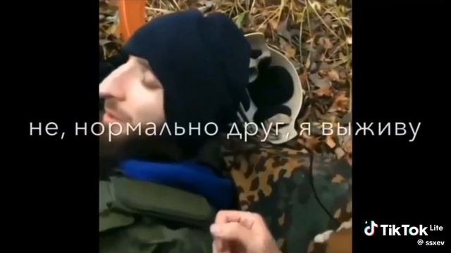 машина дороже всего